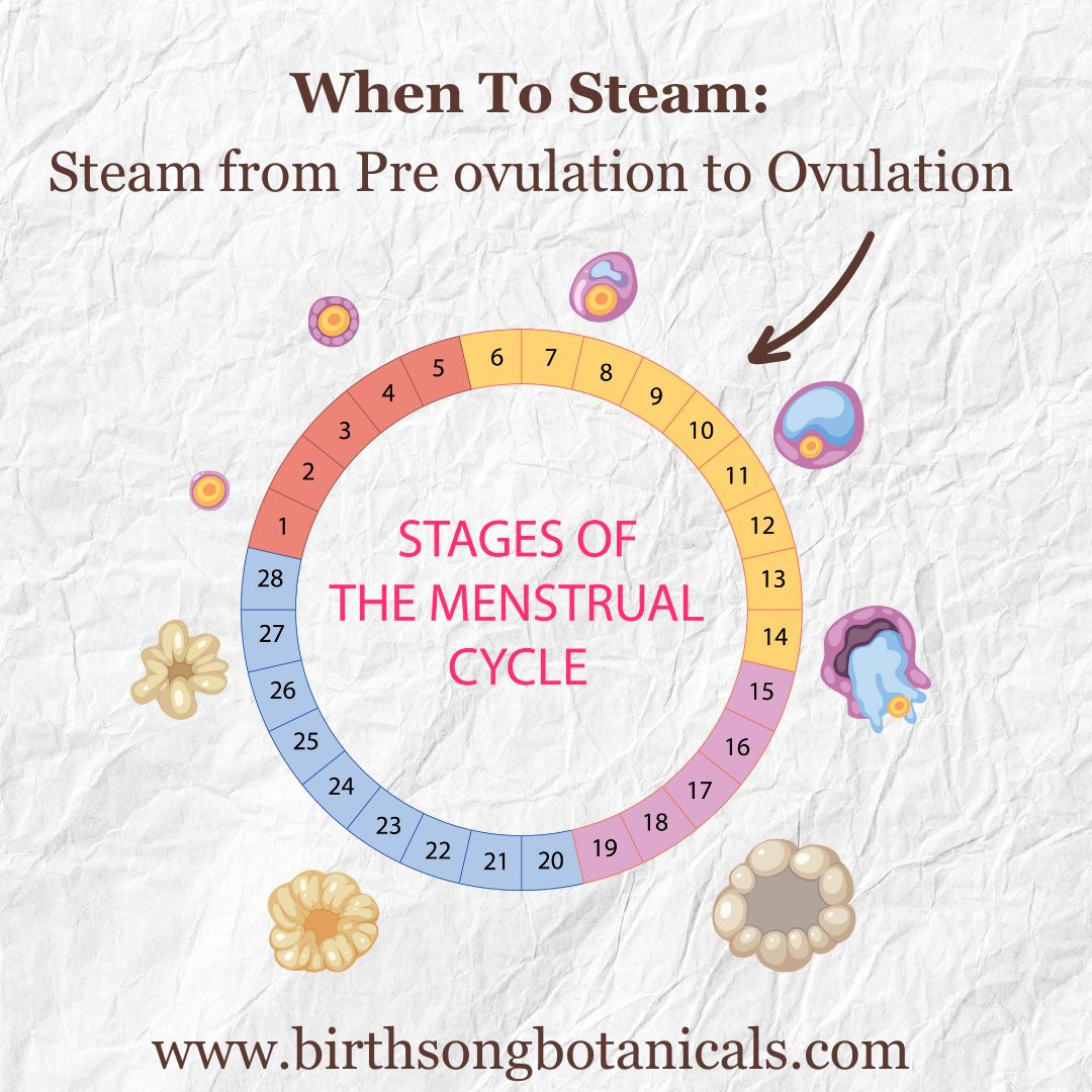 Yoni Steam for Fertility* Organic Herbal Vaginal Steaming Blend to Support Fertility and Womb Health, V Steam Herb, Vaginal and Uterine Care 3 oz.