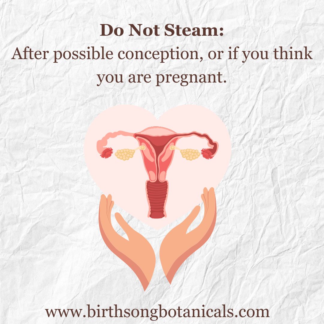 Yoni Steam for Fertility* Organic Herbal Vaginal Steaming Blend to Support Fertility and Womb Health, V Steam Herb, Vaginal and Uterine Care 3 oz.