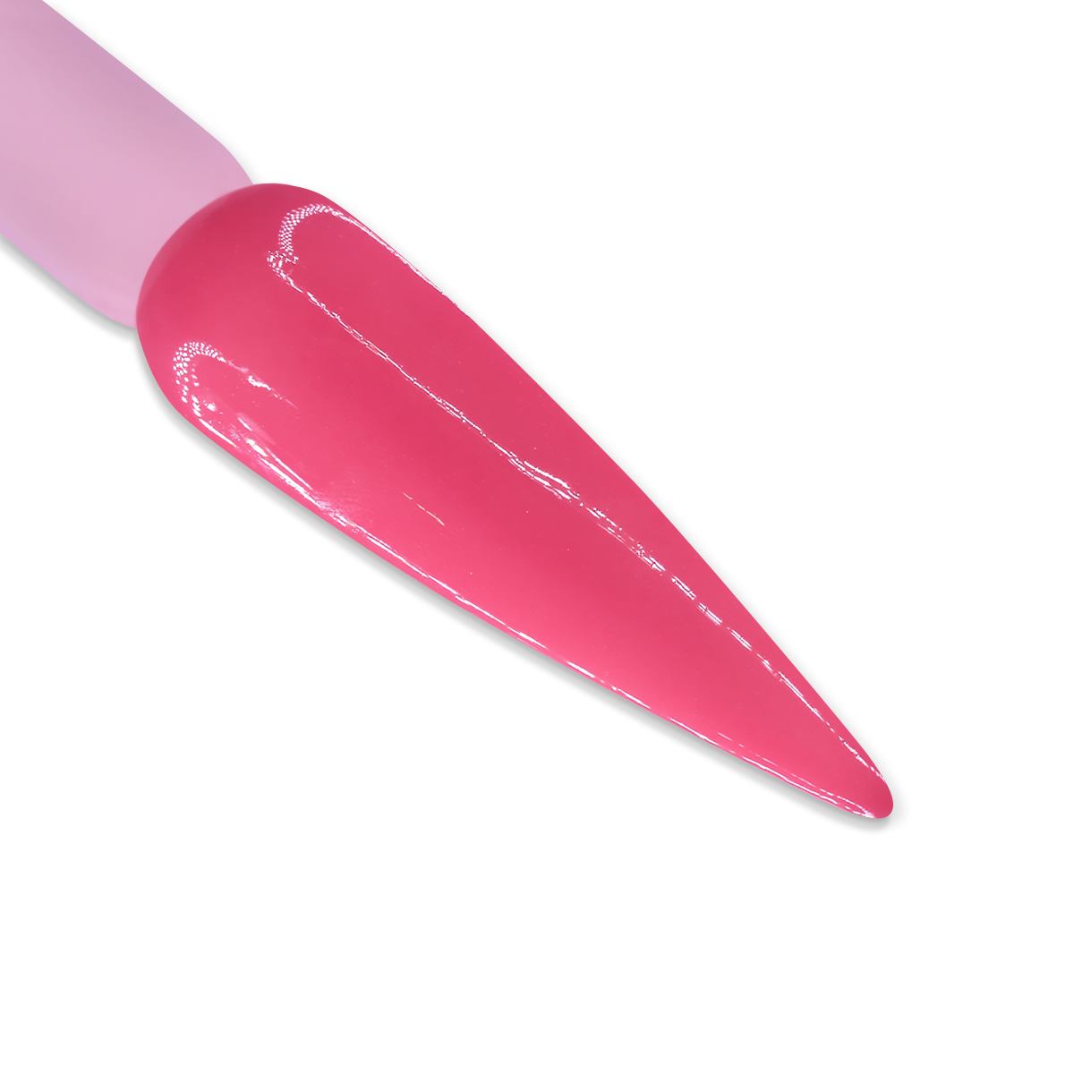 DD049 LA ROSA