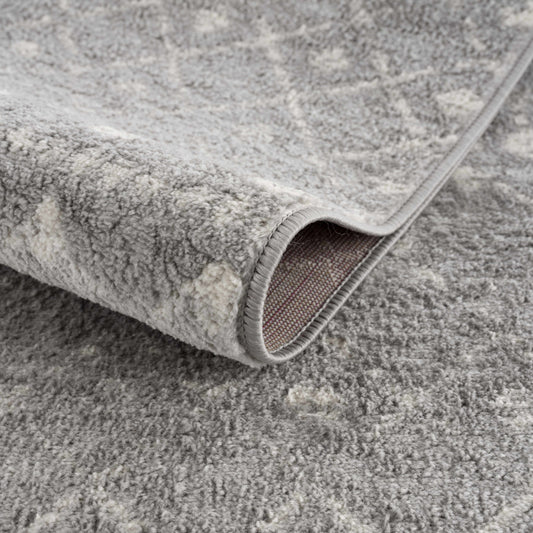 Tigrican Light Gray 2334 Area Rug - Promo