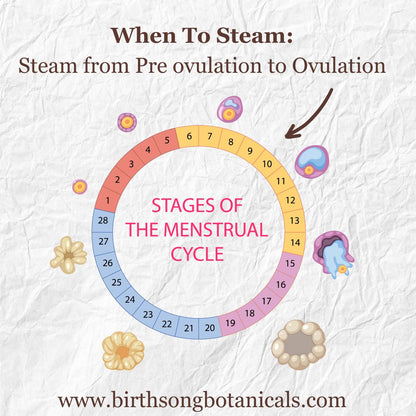 Yoni Steam for Fertility* Organic Herbal Vaginal Steaming Blend to Support Fertility and Womb Health, V Steam Herb, Vaginal and Uterine Care 3 oz.