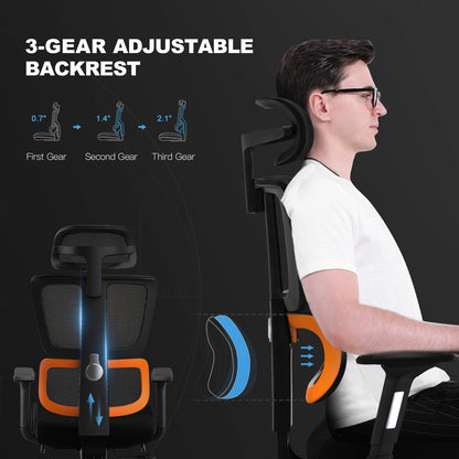 Ergonomic Series Ergo12