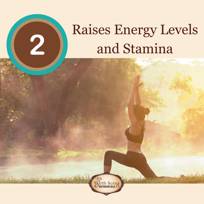 Astragalus Root Complex Immune Support Supplement*