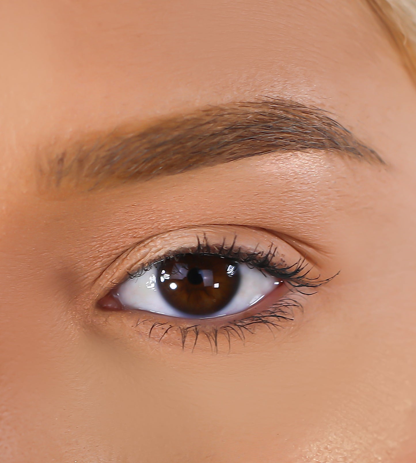 3D Mink Eyelashes - Frida
