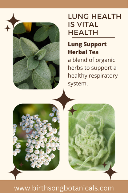 Lung Support Herbal Tea for Bronchial Wellness, Respiratory and Immune Support for Clear Breathing* 3 oz.