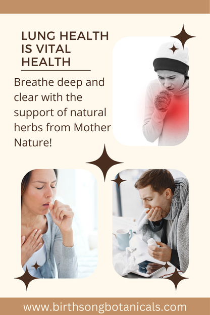Lung Support Herbal Tea for Bronchial Wellness, Respiratory and Immune Support for Clear Breathing* 3 oz.