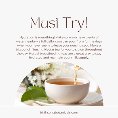 Nursing Nectar Herbal Breastfeeding Tea For Healthy Lactation and Breastmilk Supply* for Postpartum, Breastfeeding and Pumping 4 oz.