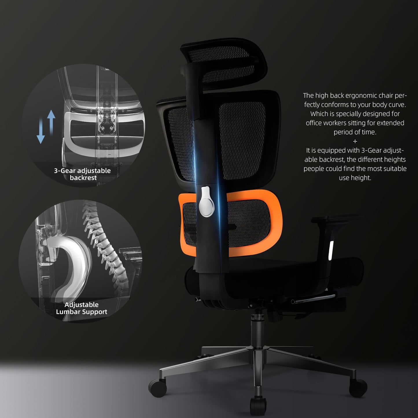 Ergonomic Series Ergo12