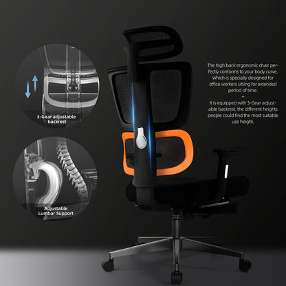 Ergonomic Series Ergo12